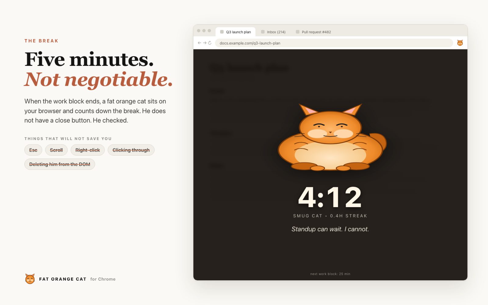 Fat Orange Cat