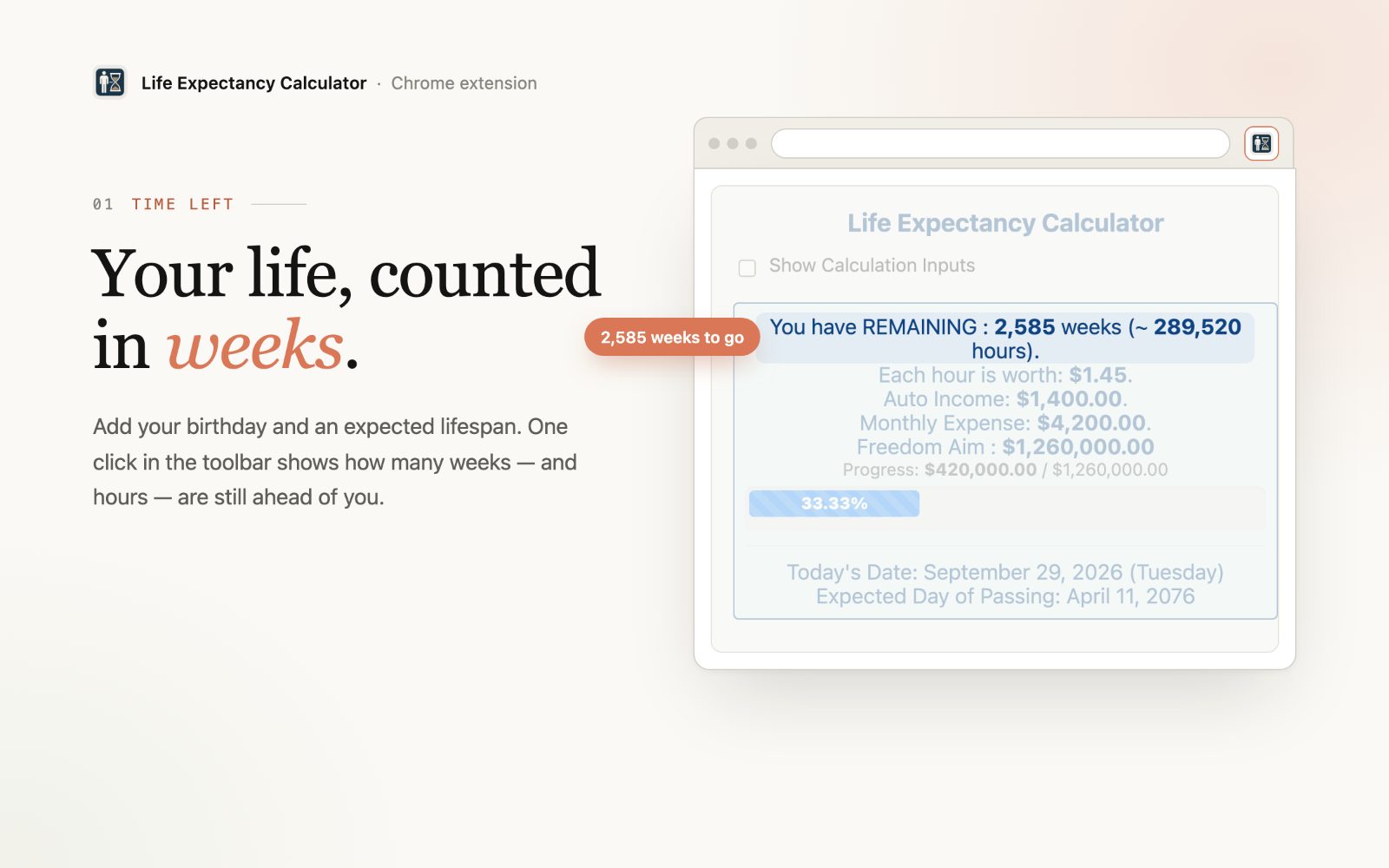 Life Expectancy Calculator